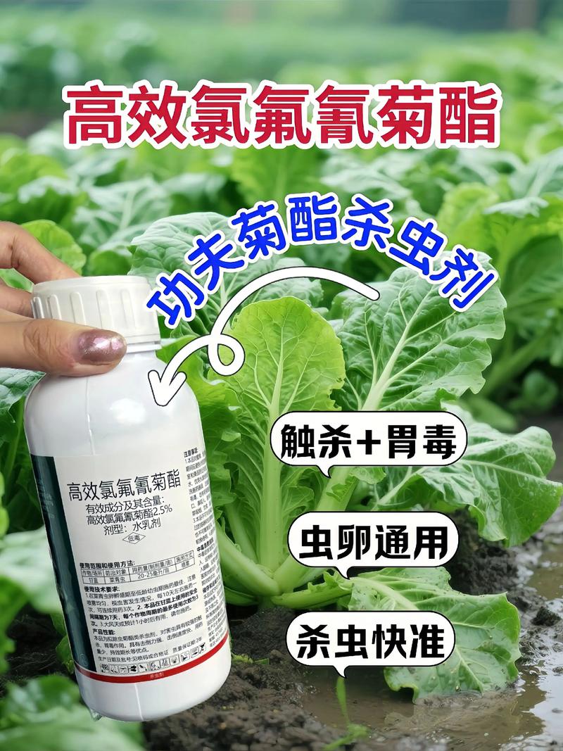 嘉兴代生中心:农药对供卵代生妈妈的危害